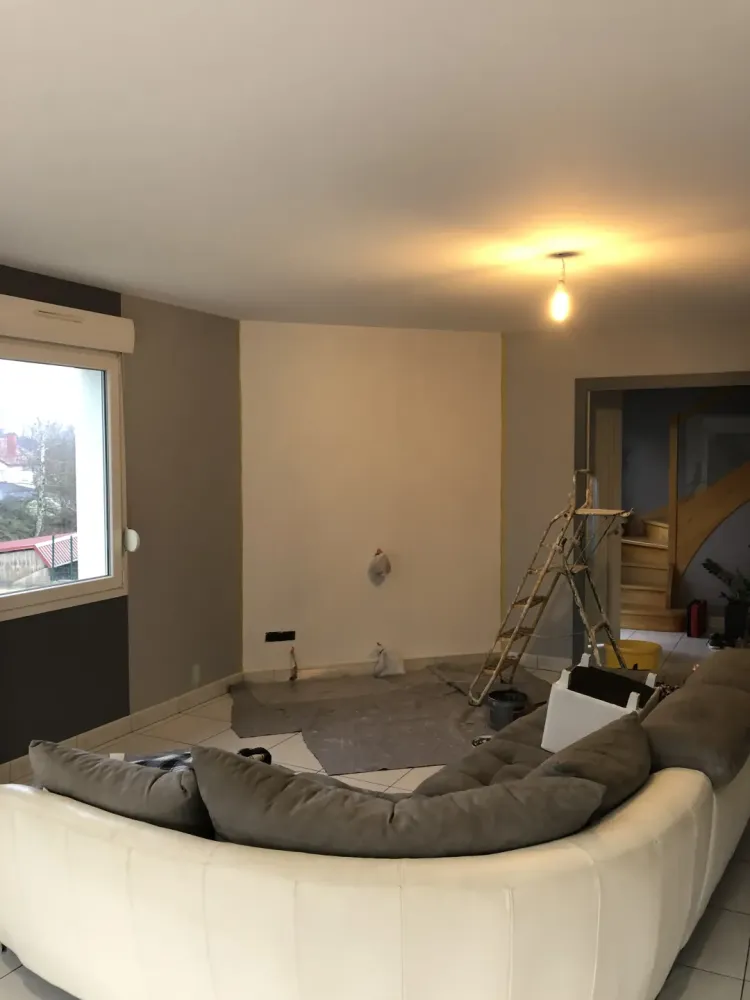Salon-peinture-avant